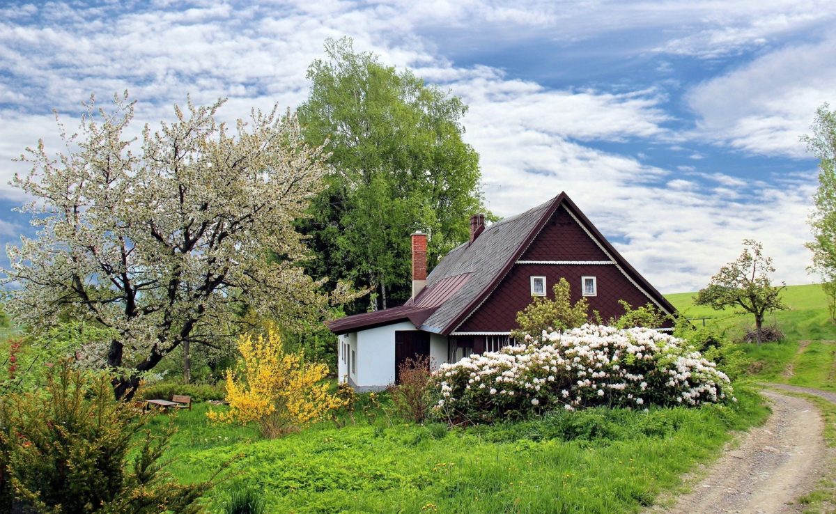 Ferienhaus vor einer Wiese mit blauem Himmel WVK Ferienhäuser versichern